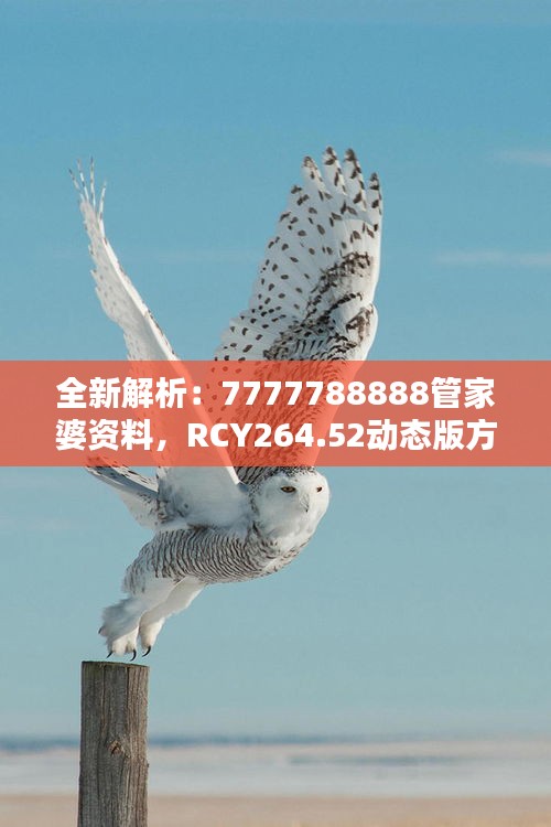 全新解析：7777788888管家婆资料，RCY264.52动态版方案攻略