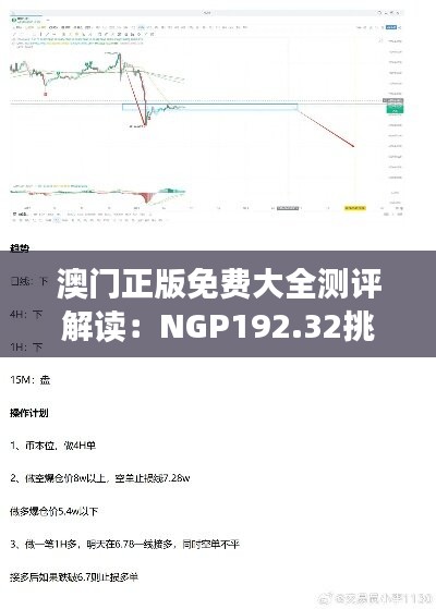 澳门正版免费大全测评解读：NGP192.32挑战版分析