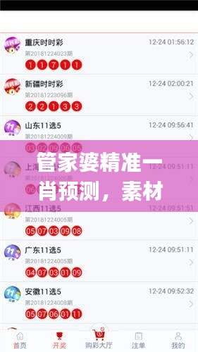 管家婆精准一肖预测，素材方案详解_个人版DFH344.15