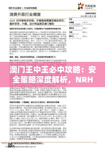 澳门王中王必中攻略：安全策略深度解析，NRH431.09版