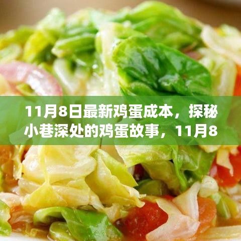 探秘小巷深处的鸡蛋故事，揭秘最新鸡蛋成本揭晓日（11月8日）