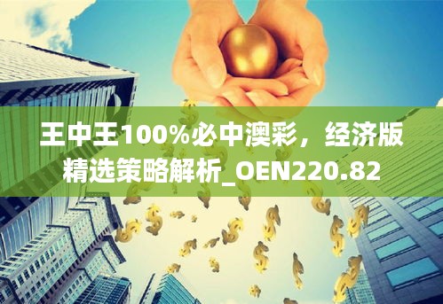 王中王100%必中澳彩，经济版精选策略解析_OEN220.82