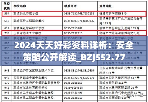 2024天天好彩资料详析：安全策略公开解读_BZJ552.77