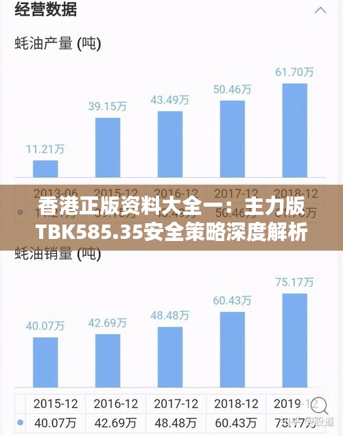 香港正版资料大全一：主力版TBK585.35安全策略深度解析