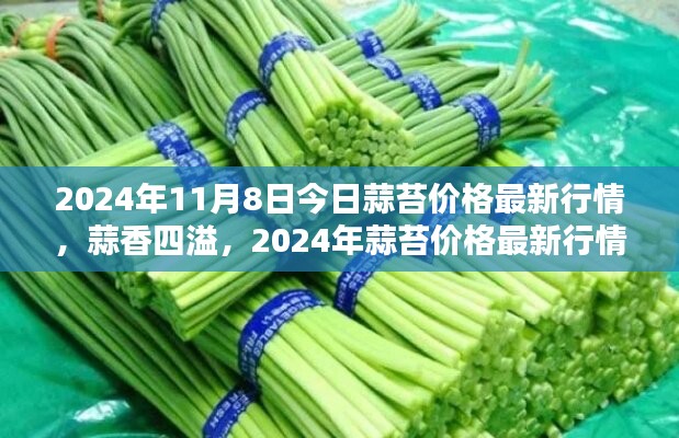 揭秘2024年蒜苔价格最新行情，蒜香四溢的市场动态