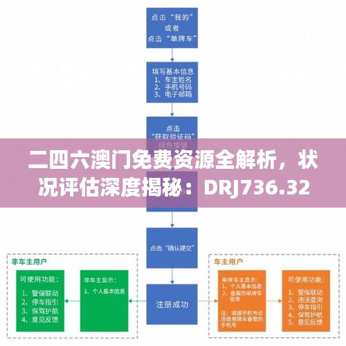 二四六澳门免费资源全解析，状况评估深度揭秘：DRJ736.32版