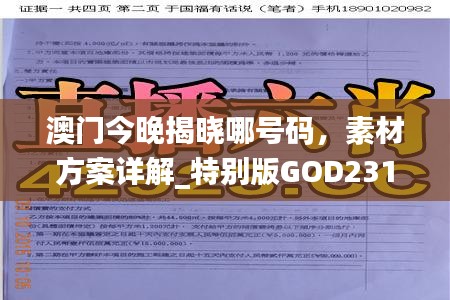 澳门今晚揭晓哪号码，素材方案详解_特别版GOD231.3