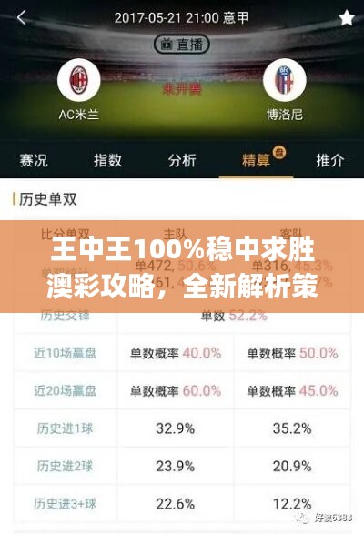 王中王100%稳中求胜澳彩攻略，全新解析策略_ECONOMY版ANL510.67