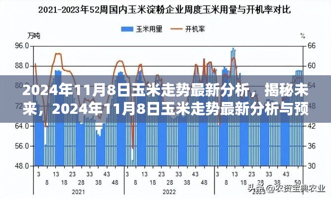 揭秘未来走势，2024年11月8日玉米市场分析预测