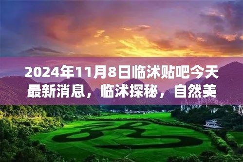 临沭最新消息，自然美景之旅，心灵宁静的呼唤探索之旅（2024年11月8日临沭贴吧）