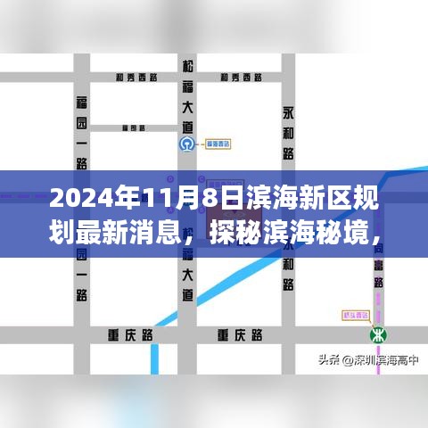 探秘滨海秘境，揭秘滨海新区规划最新动态下的自然之旅（2024年）