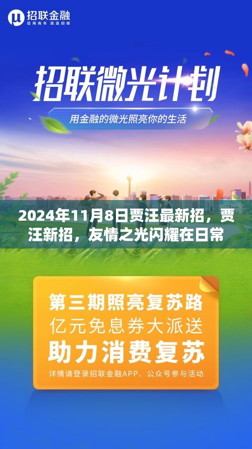 贾汪新招，友情之光与温馨瞬间的闪耀（2024年11月8日）