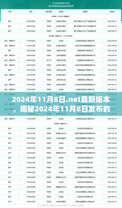 揭秘，最新.NET版本功能更新与趋势展望（2024年11月8日）