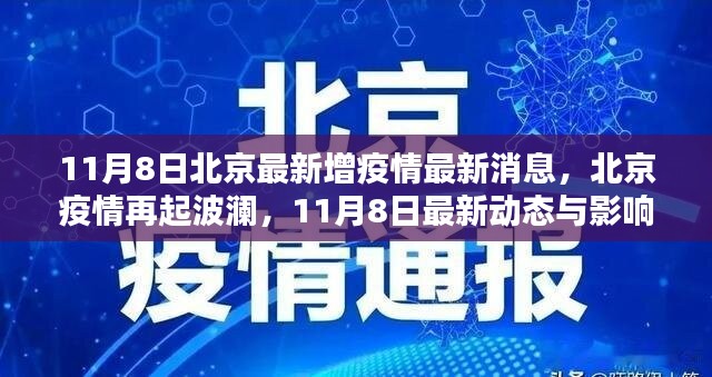 北京疫情再起波澜，最新动态与影响回顾（截至11月8日）