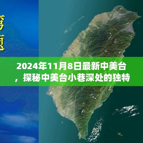 探秘中美台小巷深处的独特风味，一家隐藏的美食宝藏（2024年11月8日）