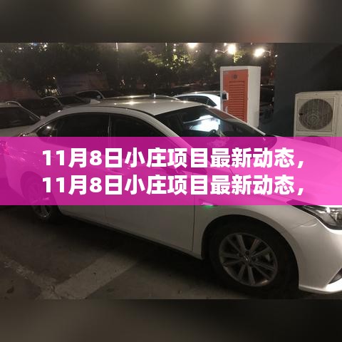 11月8日小庄项目最新动态，详细步骤指南助你完成新任务