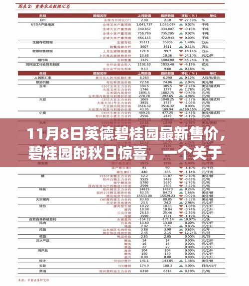 英德碧桂园秋日惊喜，友情、家庭与温馨售价的日常故事（最新售价发布）