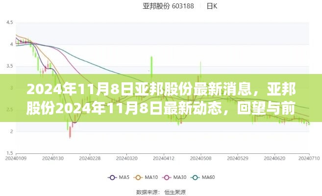 亚邦股份最新动态回顾与展望，2024年11月8日最新消息与前瞻