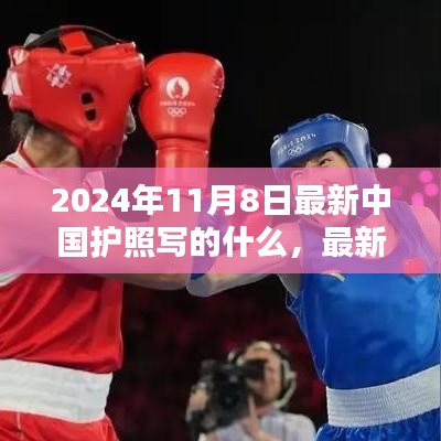 最新中国护照办理全攻略，获取2024年新版护照的步骤与指南