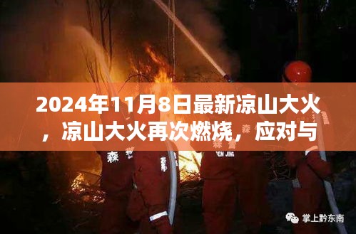 凉山大火再次燃烧，应对与反思（2024年最新报道）