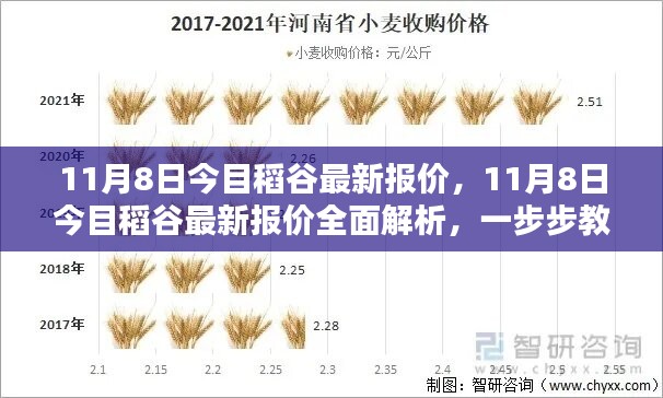 11月8日今目稻谷最新报价解析与获取指南