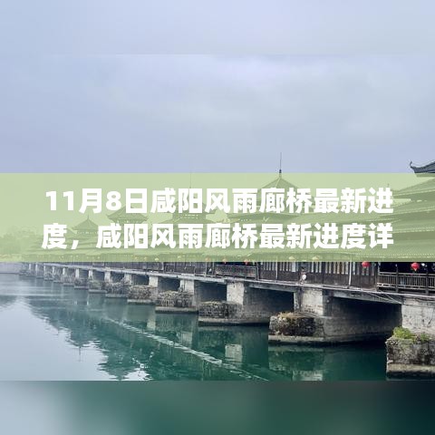 咸阳风雨廊桥最新建设进展，11月8日进度详解与互动参与体验