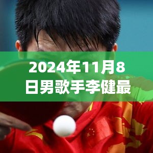 李健最新活动深度解析，现场体验与评测报告，2024年11月8日