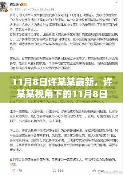 许某某视角下的11月8日新观察与解析，最新观察与阐述