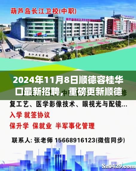 2024年顺德容桂华口最新招聘启事，职场达人的不二之选