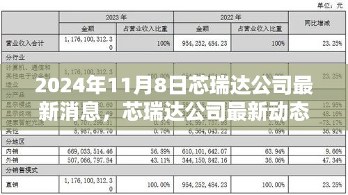 芯瑞达公司最新动态及机遇挑战解析，聚焦2024年11月8日