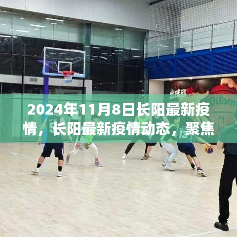 长阳疫情最新动态，聚焦2024年11月8日，小红书与你共筑防线