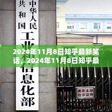 2024年11月8日知乎笑话集锦，笑到肚子疼的大放送！