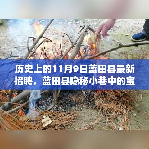 蓝田县历史招聘揭秘，隐秘小巷中的宝藏小店与背后故事探寻