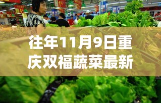 重庆双福蔬菜最新菜价背后的自然之旅与心灵宁静探寻之路