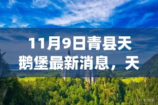 天鹅堡的温馨日常，友情、爱与陪伴的故事（最新消息更新）