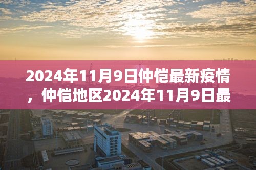 仲恺地区最新疫情动态分析报告，2024年11月9日更新