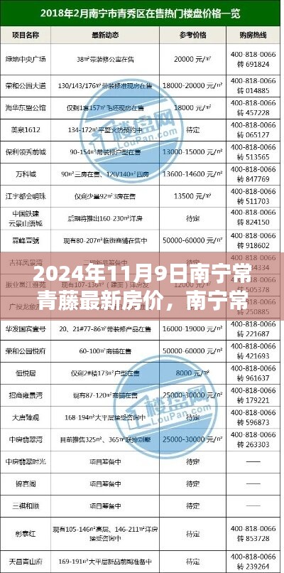 揭秘南宁常青藤最新房价走势，聚焦最新动态与影响