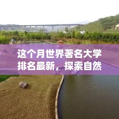 世界顶尖大学排名背后的故事，探索自然美景与心灵宁静之旅