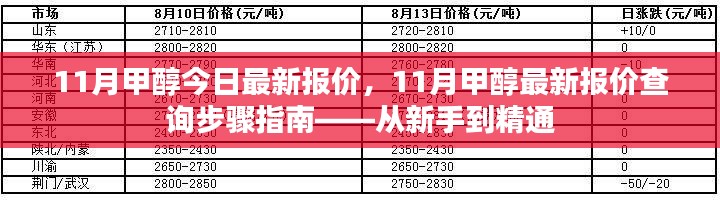 从新手到精通，查询11月甲醇最新报价的步骤指南及今日最新报价