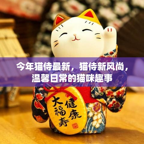 今年猫侍新风尚，温馨日常的猫咪趣事，展现猫咪独特魅力