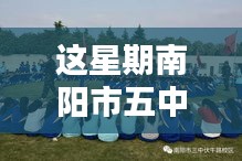 南阳市五中本周动态聚焦，最新消息与观点探讨