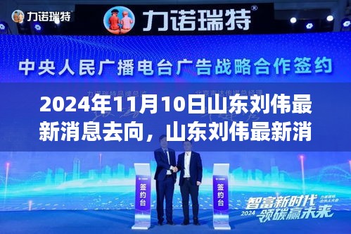 山东刘伟最新动向解析，多方观点交织的思考（2024年11月10日更新）