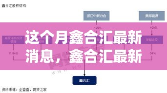 鑫合汇最新动态深度解析，产品特性、用户体验及目标用户群体洞察报告