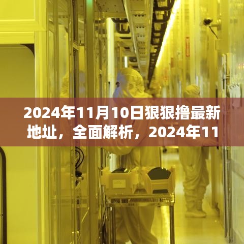 2024年11月10日热门产品最新地址全面解析与评测介绍