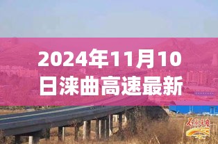 涞曲高速建设进展报告，深入了解施工进展与相关任务参与情况（2024年11月）