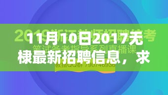 无棣城温暖招聘日，求职奇遇记与最新招聘信息速递