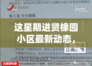 进贤橡园小区本周动态，生活品质升级新篇章启动