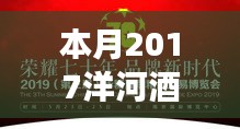 2017洋河酒厂全新招聘启幕，挑战职场新星，等你来挑战！