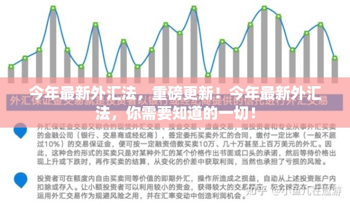 重磅更新！今年最新外汇法详解，你需要知道的一切！