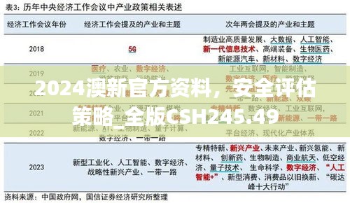 2024澳新官方资料，安全评估策略_全版CSH245.49